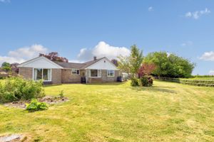 Garden- click for photo gallery